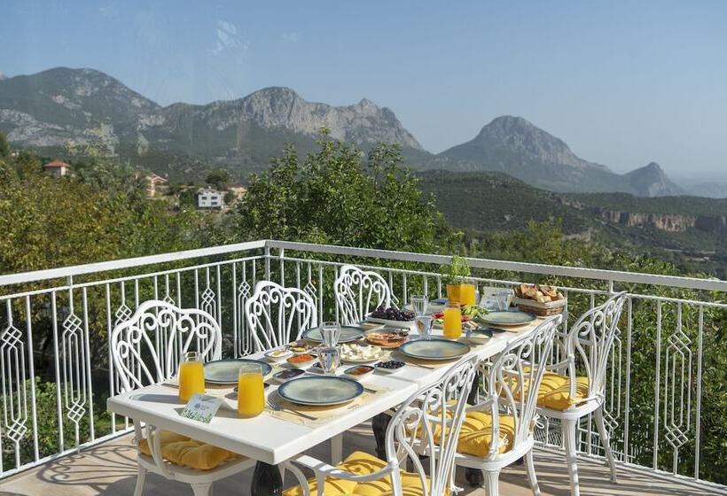 ホテル Apa Mountain Lodge