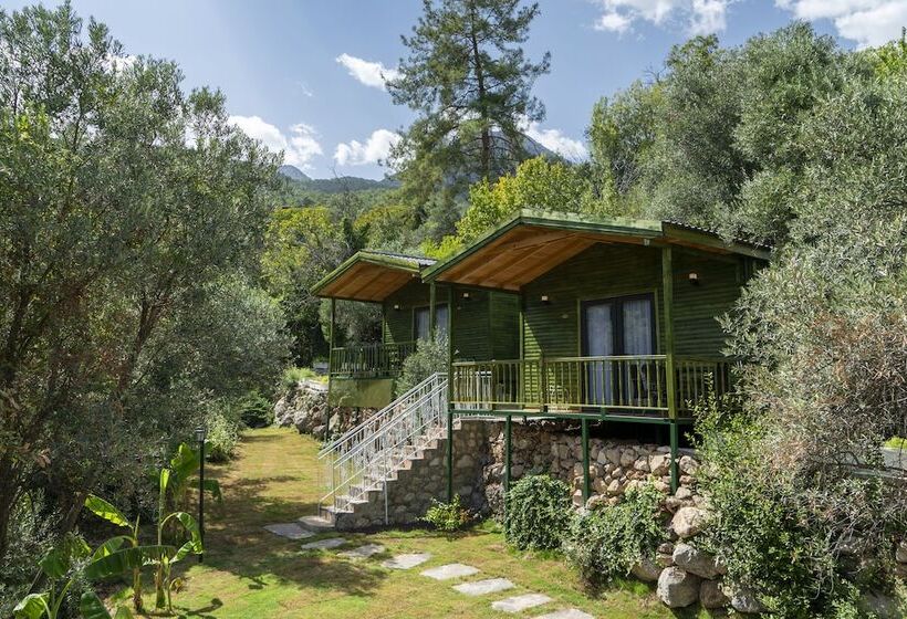 ホテル Apa Mountain Lodge