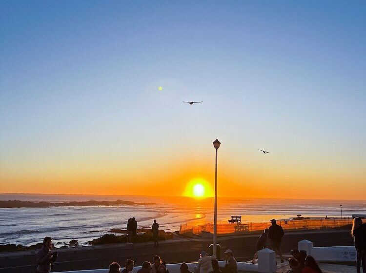 בית מלון כפרי Blue Peter