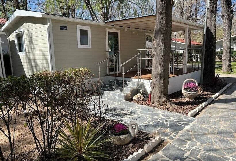 酒店 Bungalows & Albergue La Playa