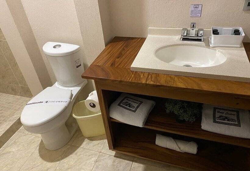 酒店 Central Pirámides