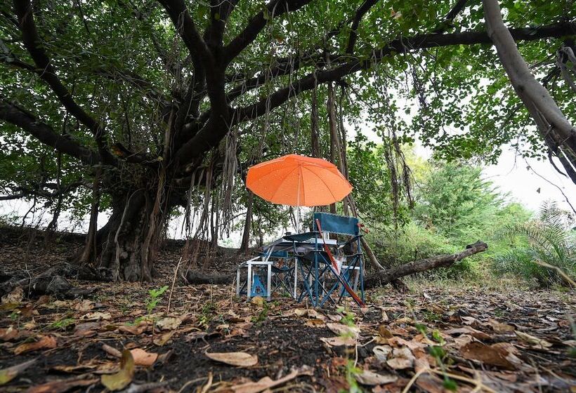 בית מלון כפרי Clarks Safari Jawai