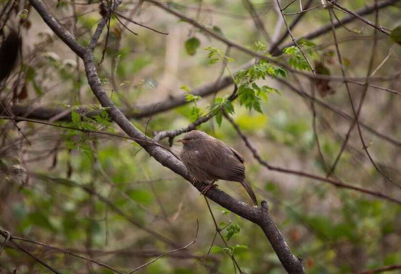 فندق Darbar   A Heritage Farmstay