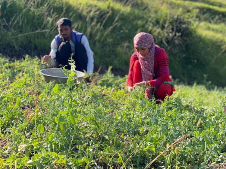 فندق Darbar   A Heritage Farmstay