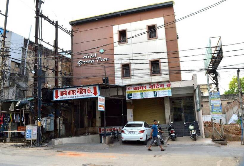 בית מלון כפרי Green Tree