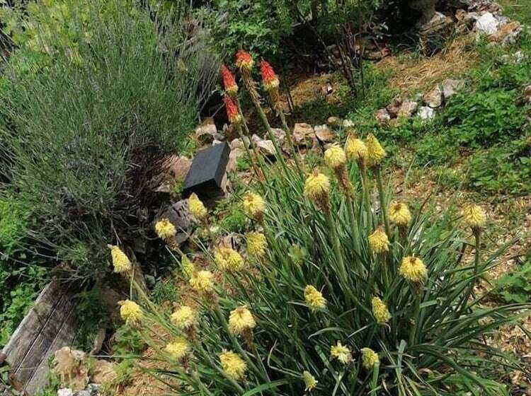 Отель Hôtellerie Des Jardiniers Gourmands