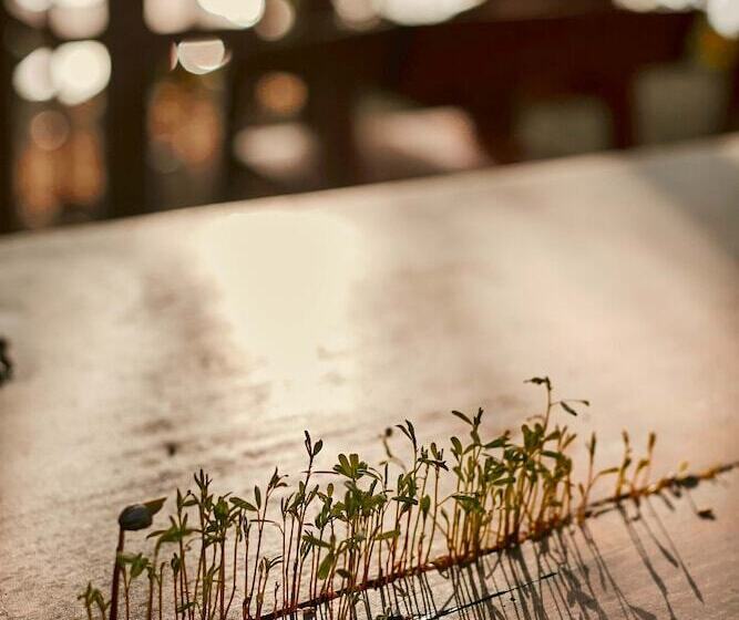 فندق Kapok Bacalar – Plant Based