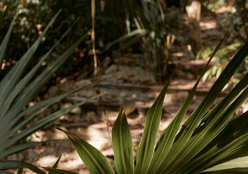 فندق Kapok Bacalar – Plant Based