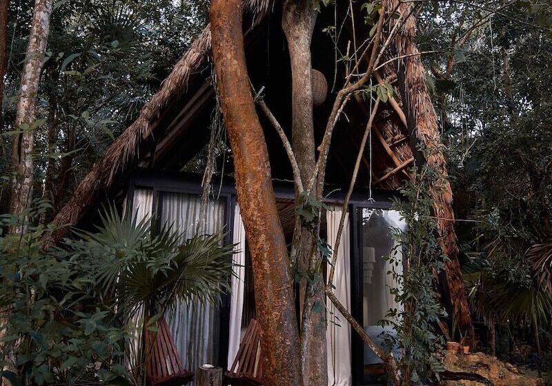 فندق Kapok Bacalar – Plant Based