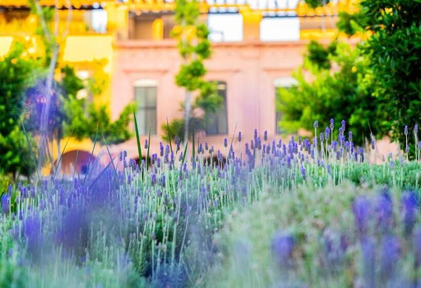 Отель Krystal Grand Residences & Villas San Miguel de Allende