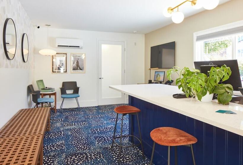 Little Mod Hotel At The University