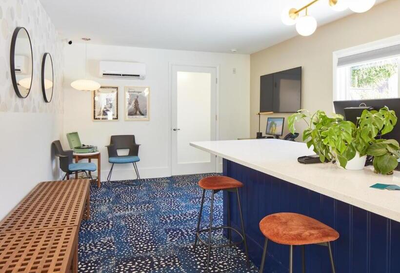 Little Mod Hotel At The University