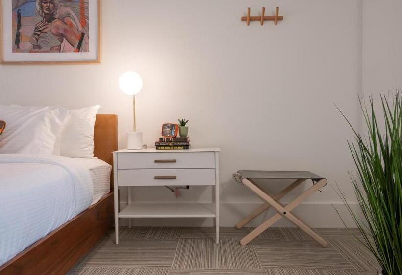 Little Mod Hotel At The University