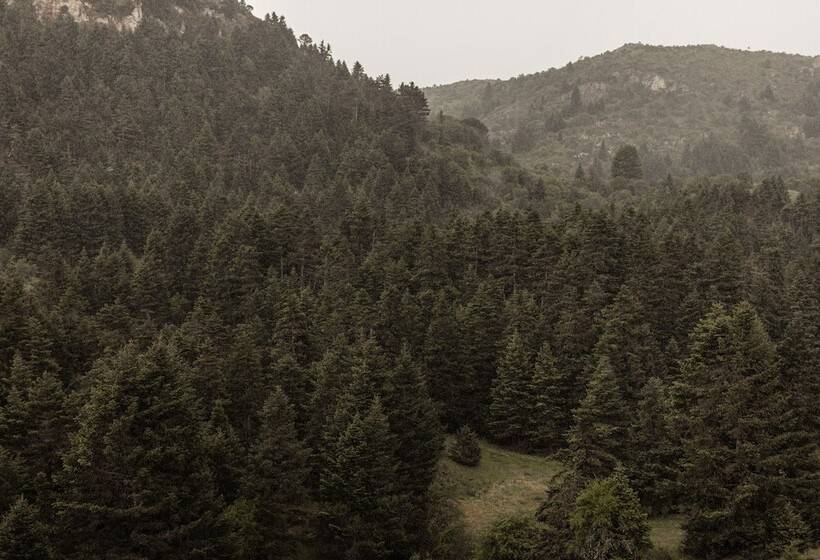 Manna, A Member Of Design Hotels