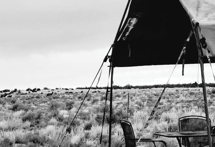 בית מלון כפרי Raptor Ranch