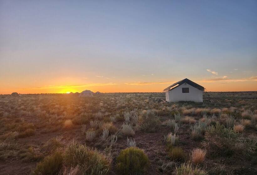 בית מלון כפרי Raptor Ranch
