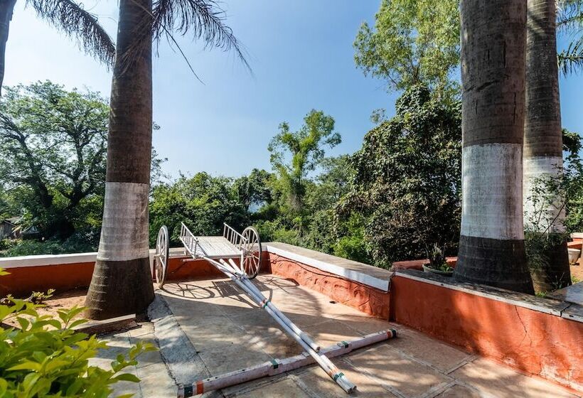 فندق Saga Resort