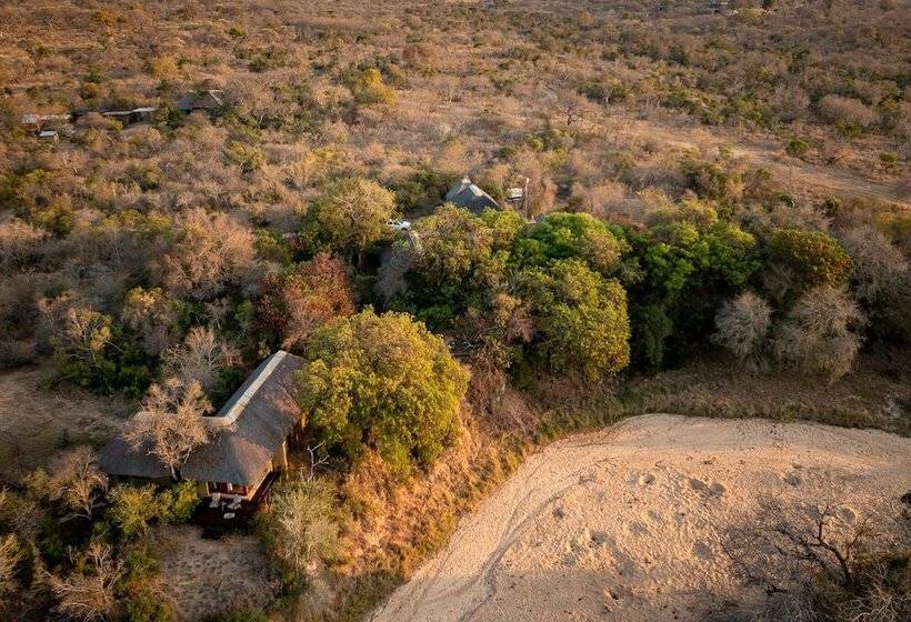 בית מלון כפרי Shimungwe Lodge
