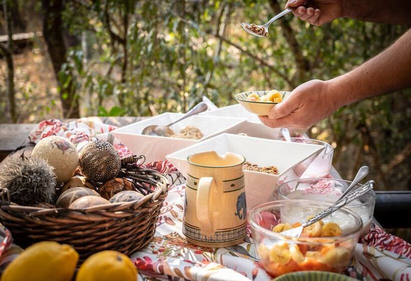 בית מלון כפרי Shimungwe Lodge