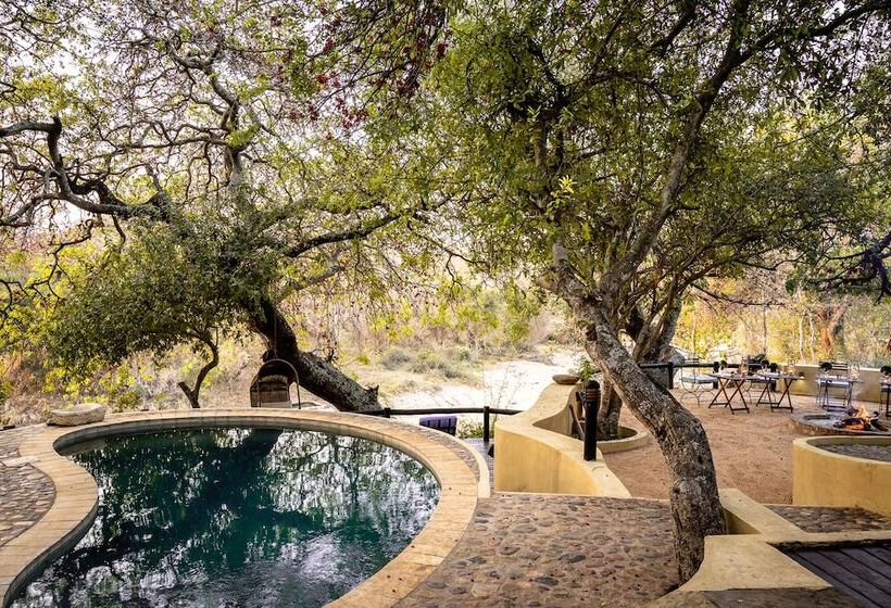 בית מלון כפרי Shimungwe Lodge