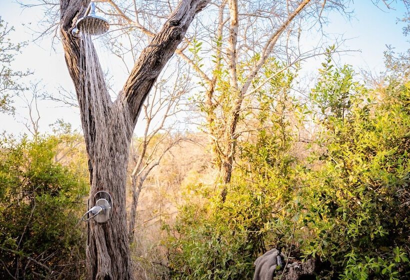 בית מלון כפרי Shimungwe Lodge