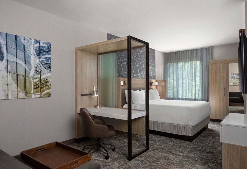 هتل Springhill Suites By Marriott Kalamazoo Portage