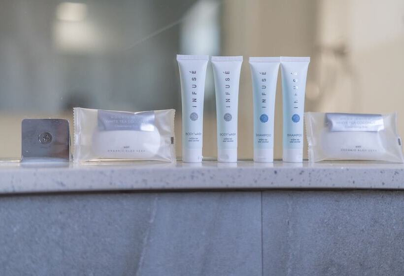 فندق The Biscayne