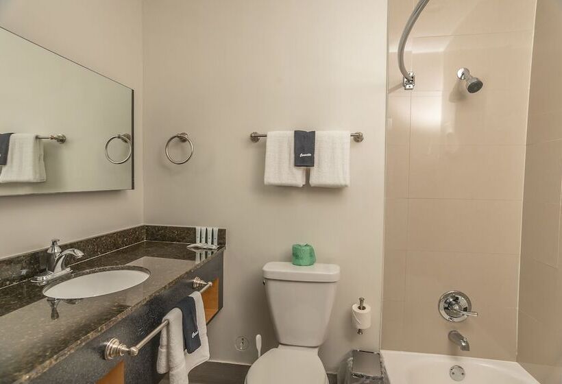 فندق The Biscayne