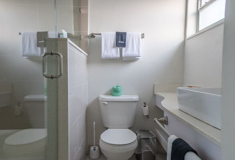 فندق The Biscayne