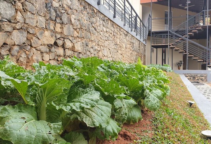 Hotel The Cubes Ella