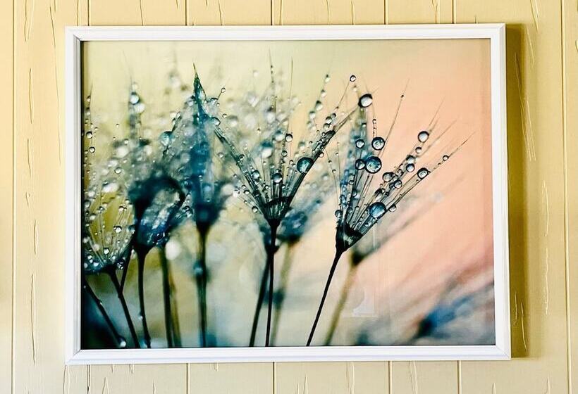 בית מלון כפרי The Lodge At Poncha Springs