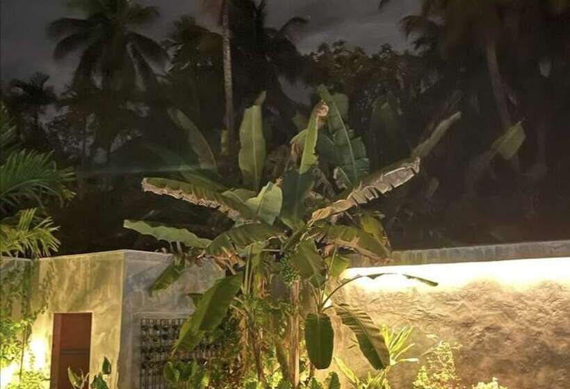 هتل Tiger Shark Residence