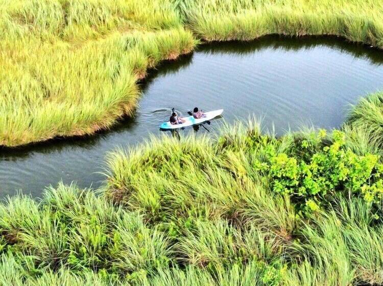 هتل Tiger Shark Residence