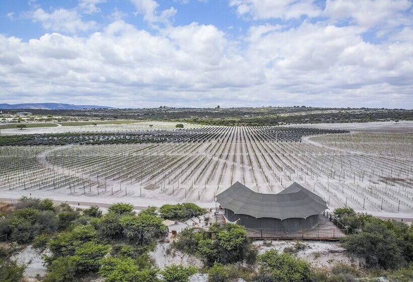 فندق Viatura Omún, San Miguel De Allende, With Optional All Inclusive