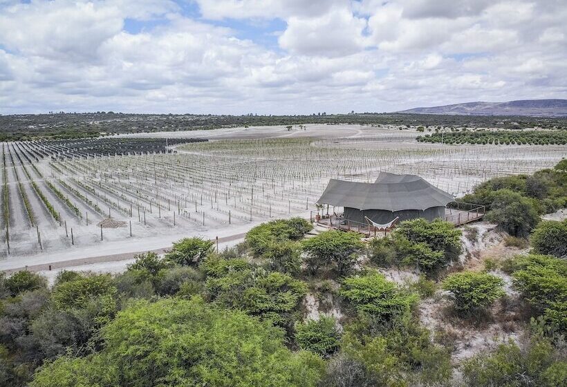 فندق Viatura Omún, San Miguel De Allende, With Optional All Inclusive