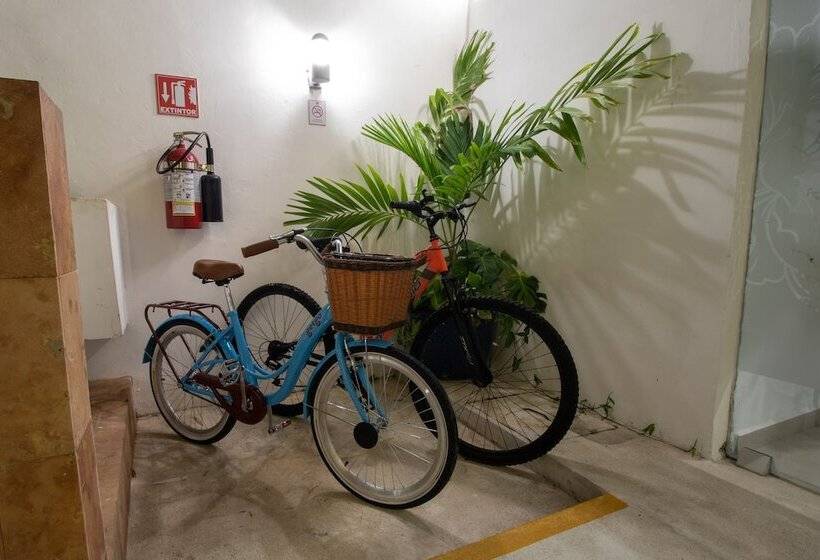 בית מלון כפרי Villas Segovia Playa Del Carmen