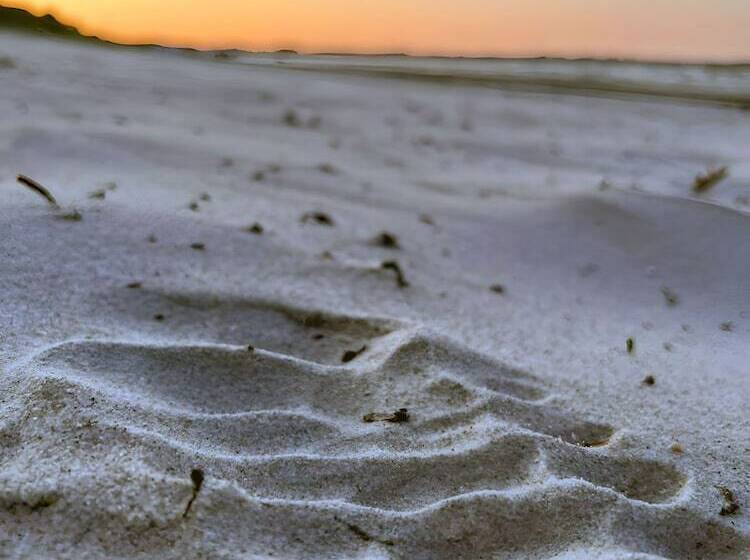 فندق Und Restaurant Windland