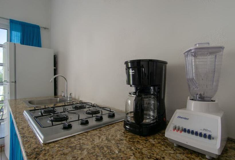 호텔 Y Bungalows Bugambilias