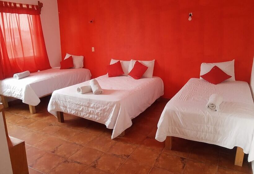 فندق Y Bungalows Bugambilias