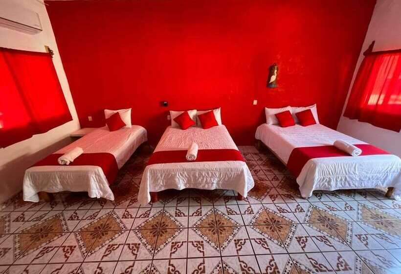 فندق Y Bungalows Bugambilias