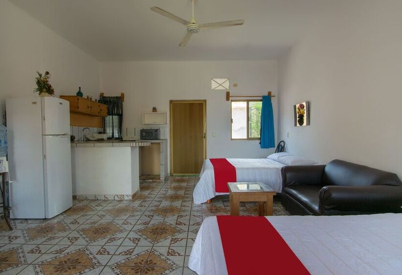 호텔 Y Bungalows Bugambilias