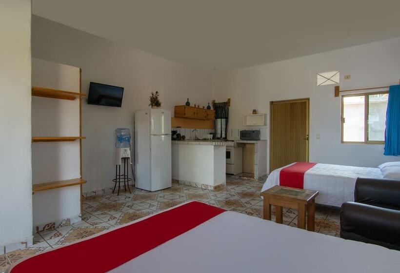 فندق Y Bungalows Bugambilias