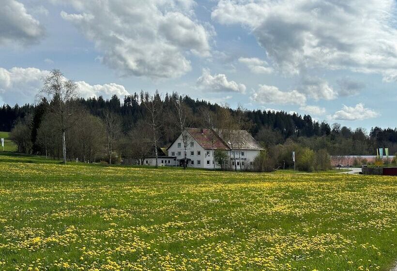 هتل Zum Bayrischen Wirt