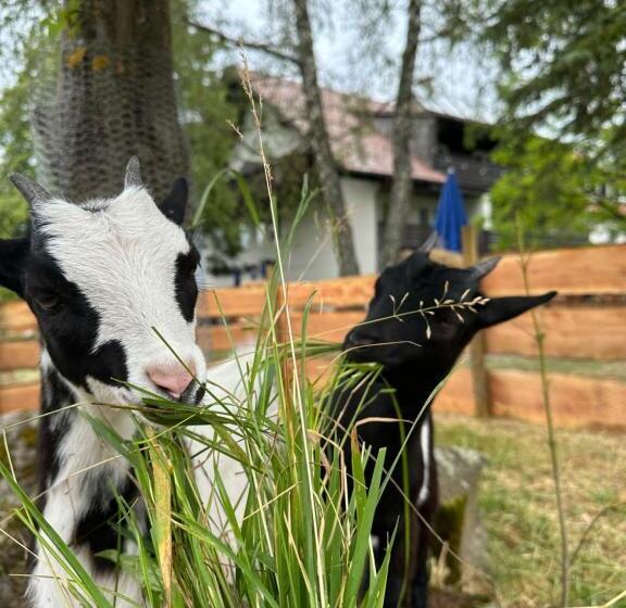 هتل Zum Bayrischen Wirt