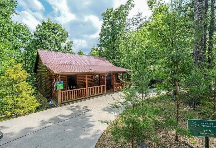 Jackson S Starry Nite Sky #217