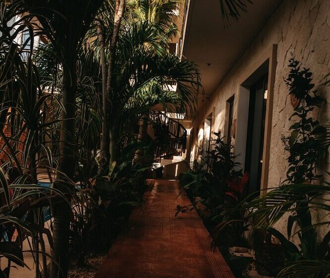 Lechuga De Mar Tulum With Pool And Beach Club Access