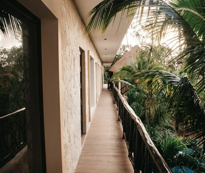 Lechuga De Mar Tulum With Pool And Beach Club Access