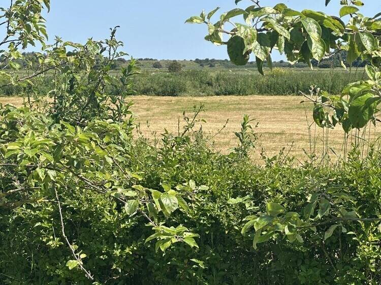 Luxury Glamping Pod With Hot Tub, Fees Apply