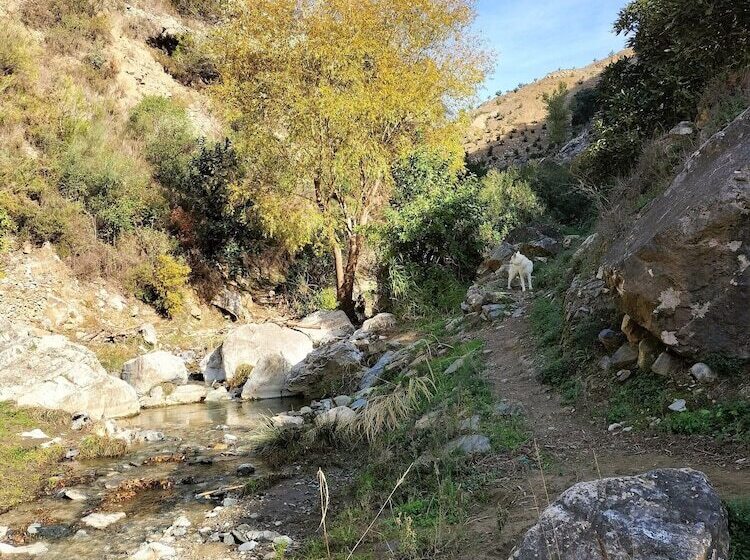 Malaga Hills Double Comfort Boutique & Wellness Hotel  Adults Only