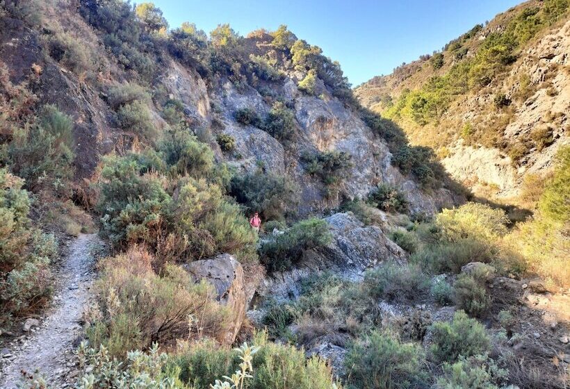 Malaga Hills Double Comfort Boutique & Wellness Hotel  Adults Only